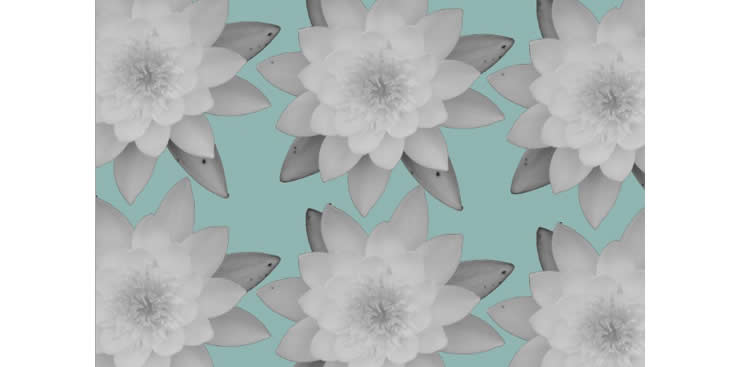 Catalog image of lily's in a pattern